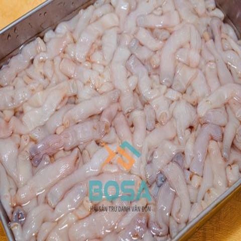 sa sung tuoi 500g