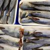 canuc1nang500gr