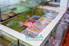 nguyen lieu che bien tai nha hang bosa