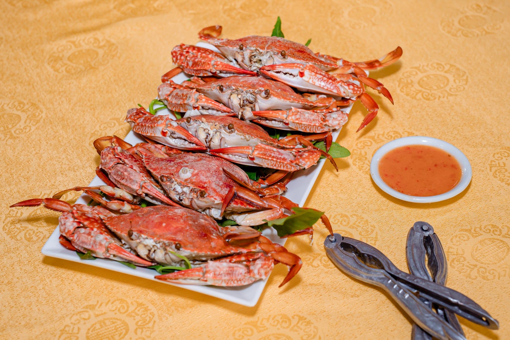 ghe nha hang bosa