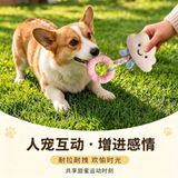  Đồ Chơi Chống Cắn Cho Chó 