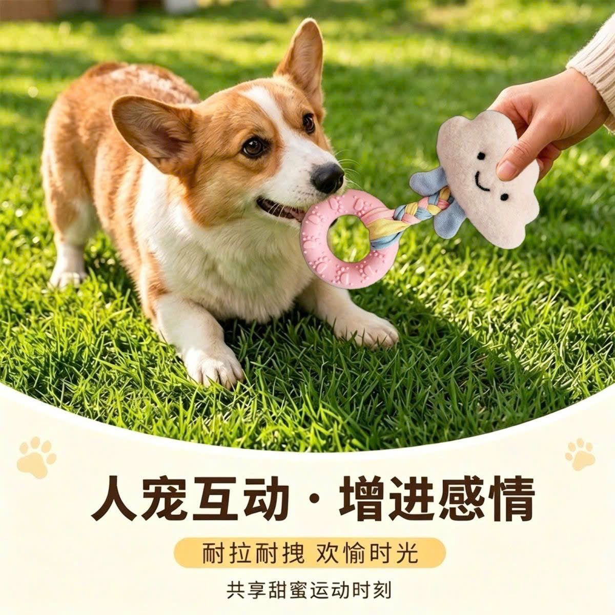  Đồ Chơi Chống Cắn Cho Chó 