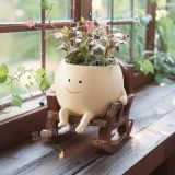  Chậu Cây Xích Đu Đẹp Độc Lạ 