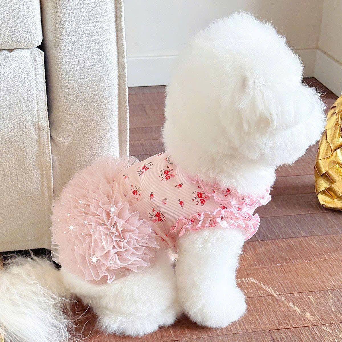  Đầm Hoa Thú Cưng 