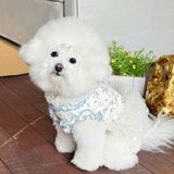  Đầm Hoa Thú Cưng 