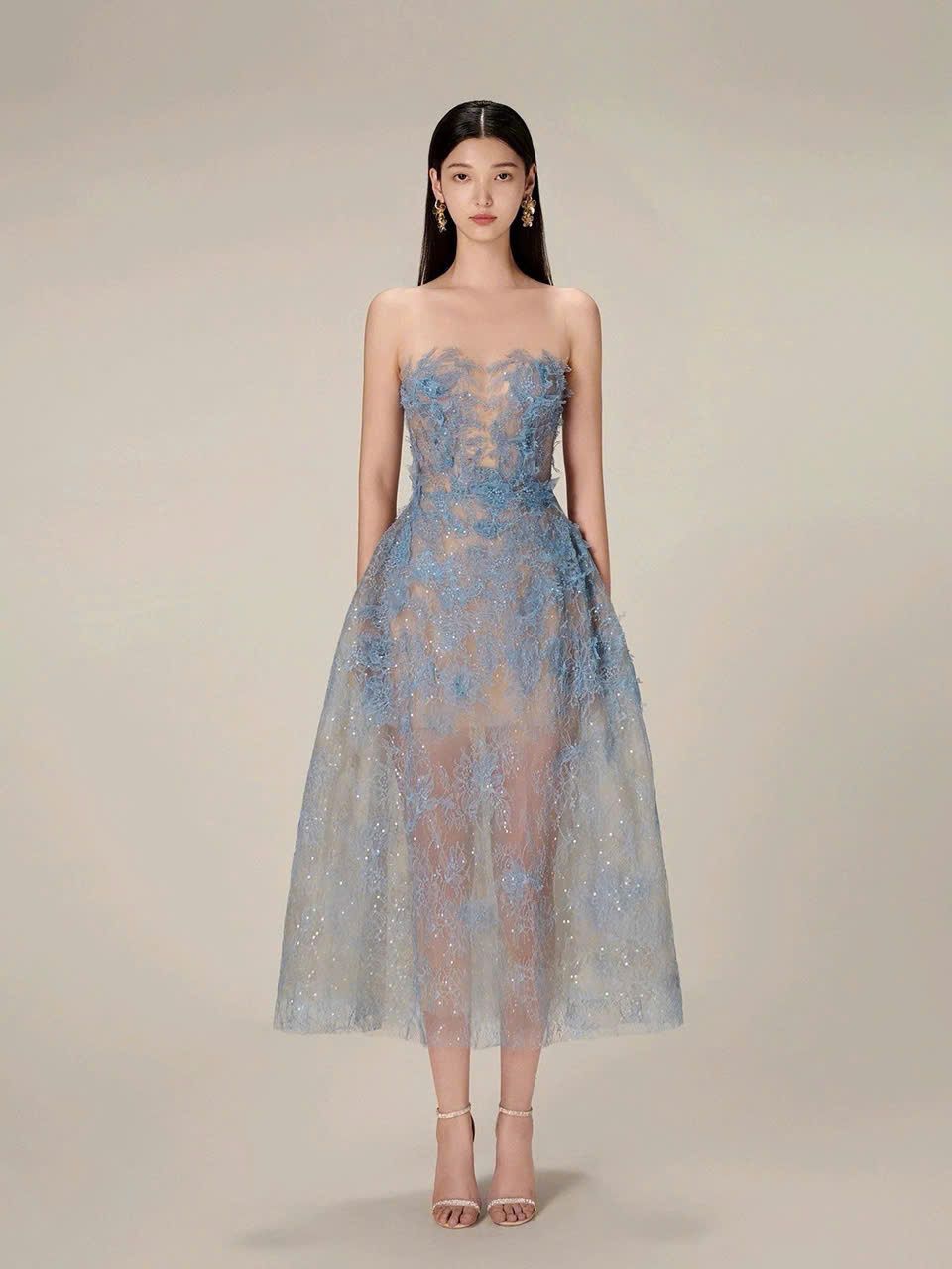  Đầm Ren Sang Trọng Nhẹ Nhàng 