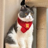  Khăn Quàng Cổ Cho Thú Cưng 