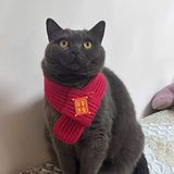  Khăn Quàng Cổ Cho Thú Cưng 