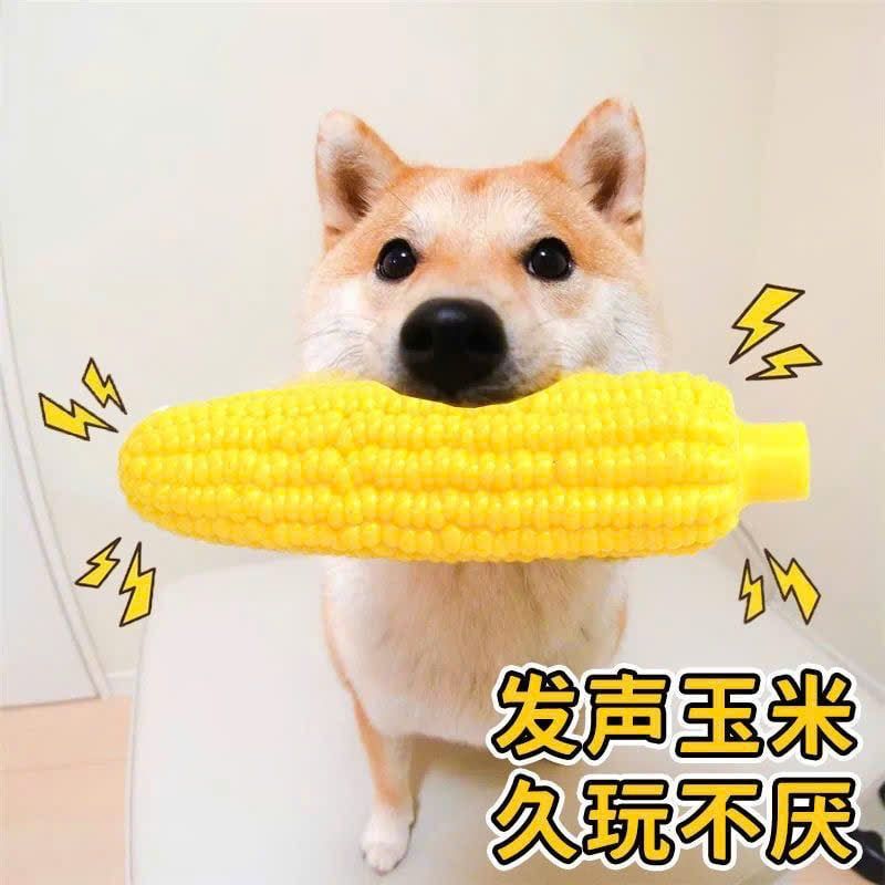  Đồ Chơi Thú Cưng 