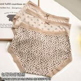  Set Quần lót 