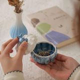  Hộp Sứ Bảo Quản Trang Sức Hiện Đại 