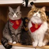  Khăn Quàng Cổ Cho Thú Cưng 