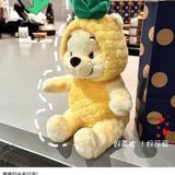  Gấu Bông Winnie the Pooh 