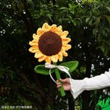  Hoa Hồng, Hoa Hướng Dương Handmade Bằng Len 