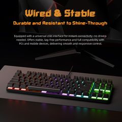 Bàn phím cơ Mechanics Darkflash G87