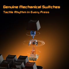 Bàn phím cơ Mechanics Darkflash G87