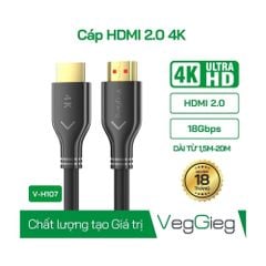 Cáp HDMI 2.0 dài 5m VEGGIEG V-H109