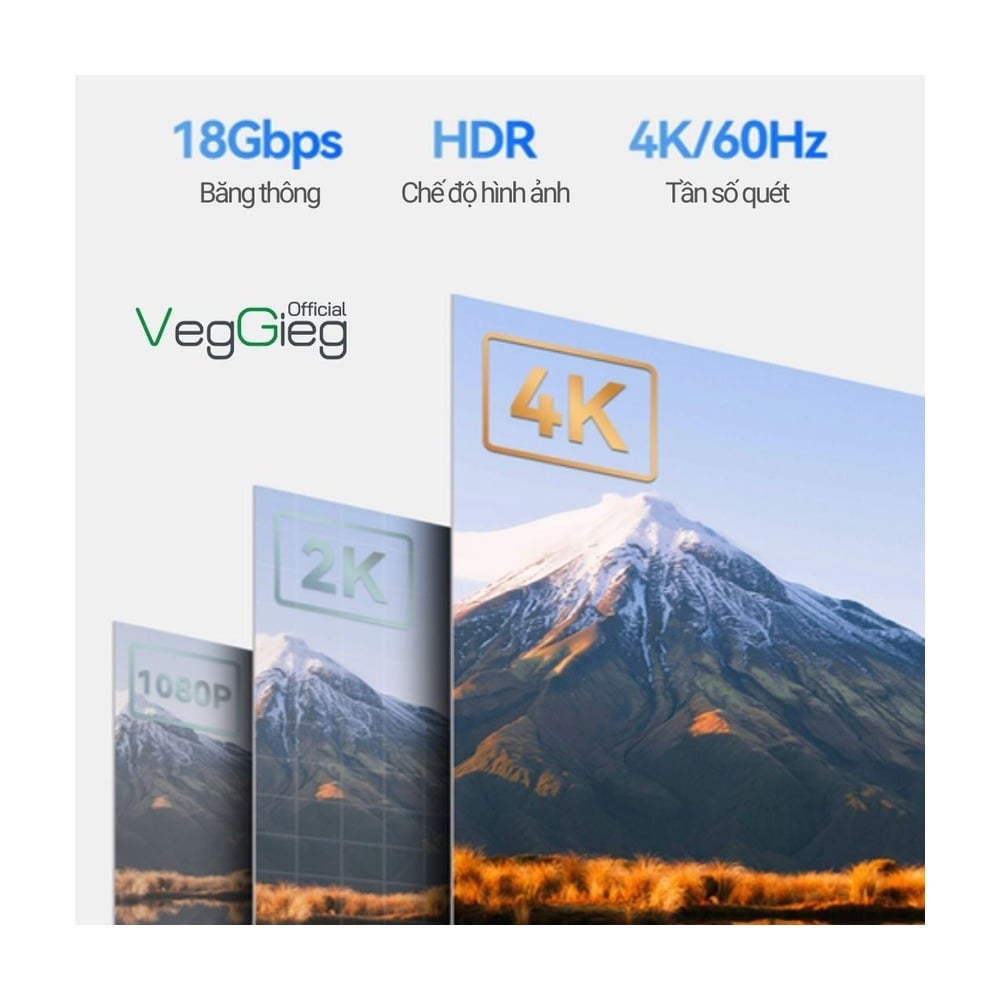 Cáp HDMI 2.0 dài 5m VEGGIEG V-H109