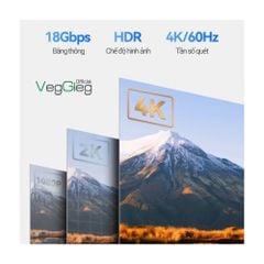 Cáp HDMI 2.0 dài 5m VEGGIEG V-H109