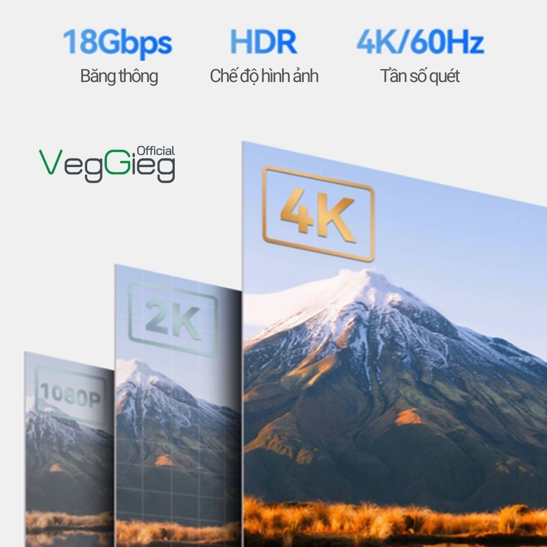 Cáp HDMI 2.0 VegGieg V-H109 dài 5m màu đen