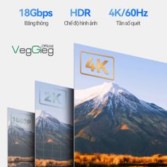 Cáp HDMI 2.0 dài 20m VegGieg V-H112