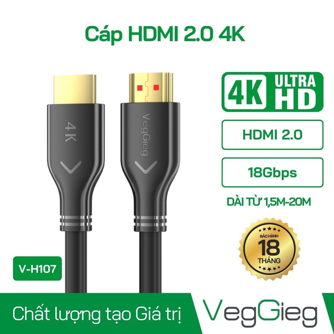 Cáp HDMI 2.0 dài 3m VegGieg V-H108