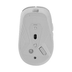 Chuột Văn Phòng E-DRA EM605W Màu Trắng Không Dây