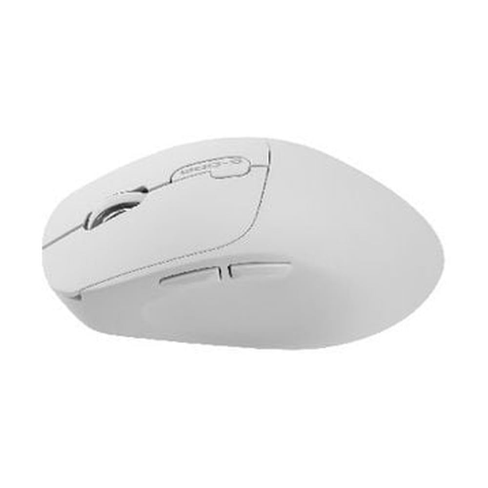 Chuột Văn Phòng E-DRA EM605W Màu Trắng Không Dây