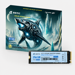 Ổ Cứng SSD SSTC Oceanic Whitetip E130 Plus 256GB M2 NVMe