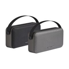 Loa Di Động Bluetooth Thonet & Vander ZIEGEL
