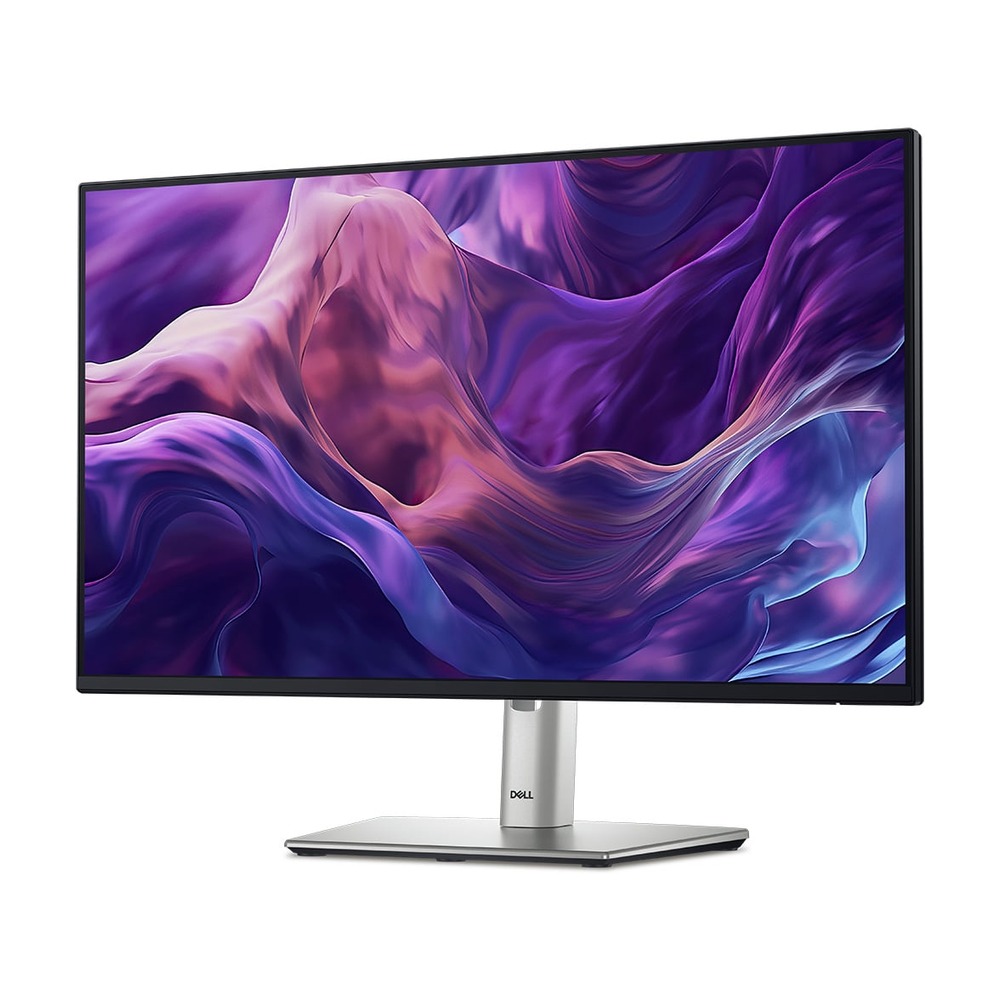 Màn Hình Dell P2425H (24 inch - FHD - IPS - 100Hz - 5ms - USB TypeC)