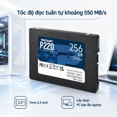 Ổ cứng SSD Patriot P220 256GB SATA III, 2.5 inch (P220S256G25)
