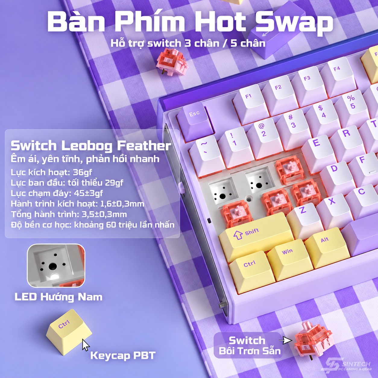 Phím Cơ AULA H108 7495 (Silent Cotton Candy Switch Vàng Tím) Không Dây