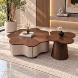 Bàn Trà Đôi Gỗ Veneer Óc Chó TNBT2550 