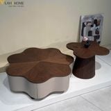  Bàn Trà Đôi Gỗ Veneer Óc Chó TNBT2550 