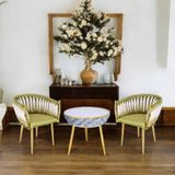  Ghế Ăn Bọc Nhung Hai Màu VSW01 