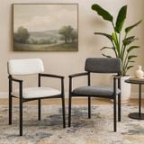  Ghế Ăn Curve DW17 