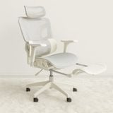  Ghế Công Thái Học NLE18 