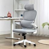  Ghế Công Thái Học NL889 