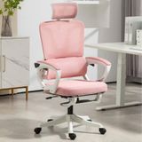  Ghế Công Thái Học NL899 