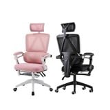  Ghế Công Thái Học NL899 