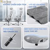  Ghế Công Thái Học NL905 