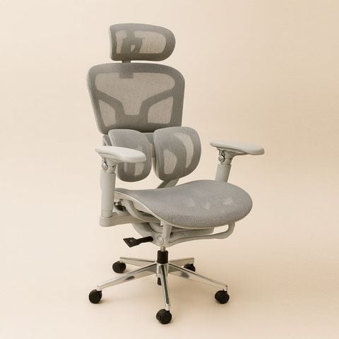  Ghế Công Thái Học NL621 