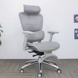  Ghế Công Thái Học NL816-5 