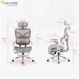  Ghế Công Thái Học NL905 