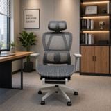  Ghế Công Thái Học NL919 