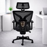  Ghế Công Thái Học Lưới TKN009 