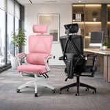  Ghế Công Thái Học NL899 