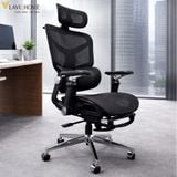  Ghế Công Thái Học NL905 