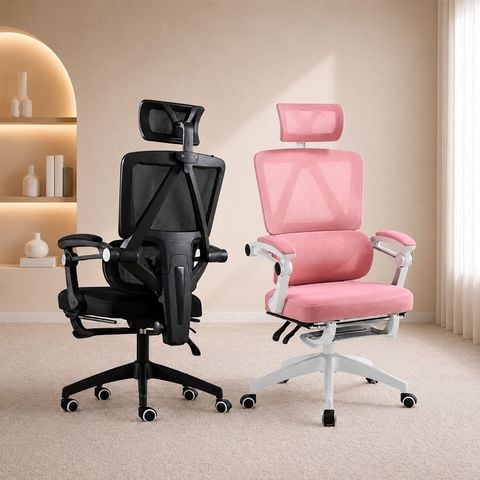  Ghế Công Thái Học NL899 